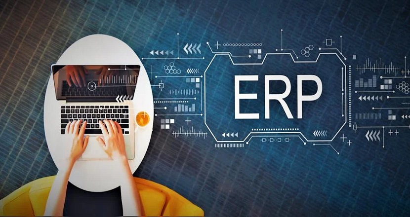 Tailoring ERP for Small and Medium Businesses